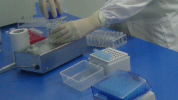 郑州怀孕要如何办理DNA鉴定,郑州孕期血缘检测办理流程