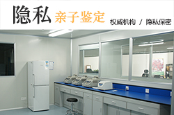 郑州DNA鉴定机构收费标准 郑州DNA鉴定机构收费标准