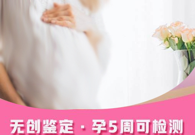 郑州胎儿如何做亲子鉴定,郑州无创产前亲子鉴定费用是多少钱 郑州胎儿如何做亲子鉴定,郑州无创产前亲子鉴定费用是多少钱